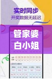 管家婆白小姐四肖开奖时间,数据驱动分析解析_特供版19.500