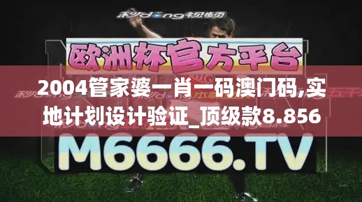 2004管家婆一肖一码澳门码,实地计划设计验证_顶级款8.856