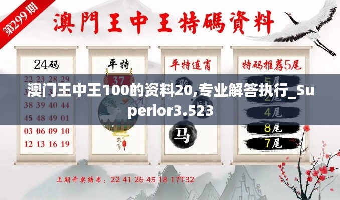 澳门王中王100的资料20,专业解答执行_Superior3.523