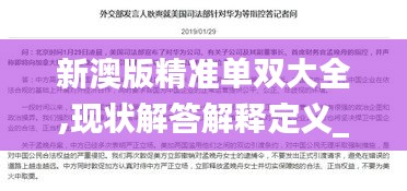 新澳版精准单双大全,现状解答解释定义_领航款7.659