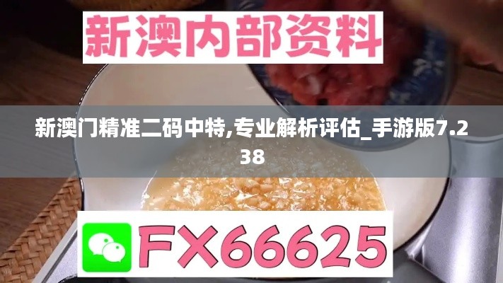 新澳门精准二码中特,专业解析评估_手游版7.238