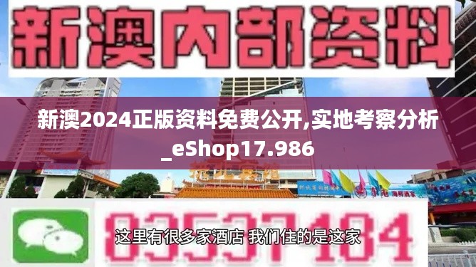 新澳2024正版资料免费公开,实地考察分析_eShop17.986