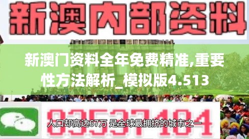 新澳门资料全年免费精准,重要性方法解析_模拟版4.513