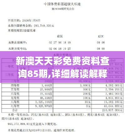 新澳天天彩免费资料查询85期,详细解读解释定义_社交版7.802