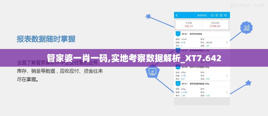 管家婆一肖一码,实地考察数据解析_XT7.642