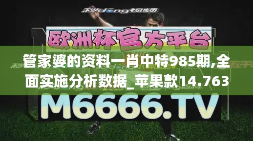 管家婆的资料一肖中特985期,全面实施分析数据_苹果款14.763