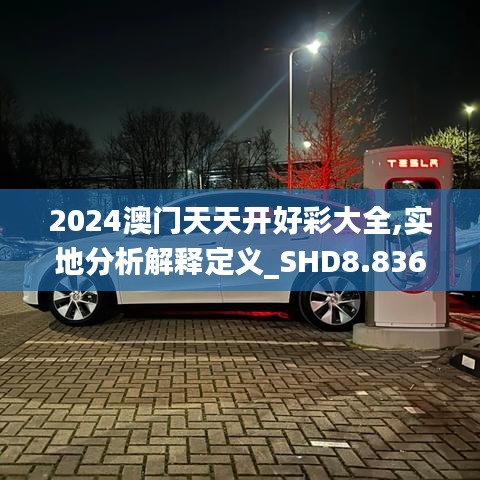 2024澳门天天开好彩大全,实地分析解释定义_SHD8.836