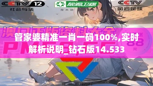 管家婆精准一肖一码100%,实时解析说明_钻石版14.533