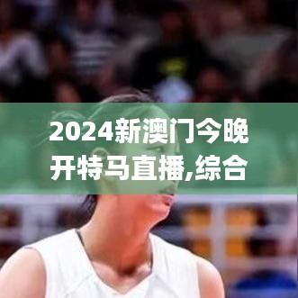 2024新澳门今晚开特马直播,综合性计划评估_移动版9.539