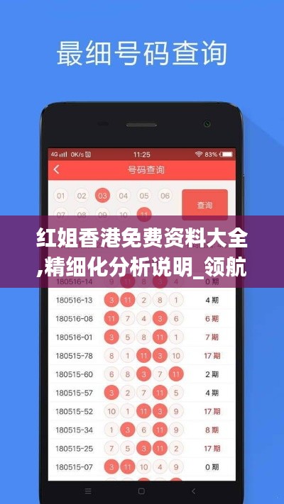 红姐香港免费资料大全,精细化分析说明_领航款6.404