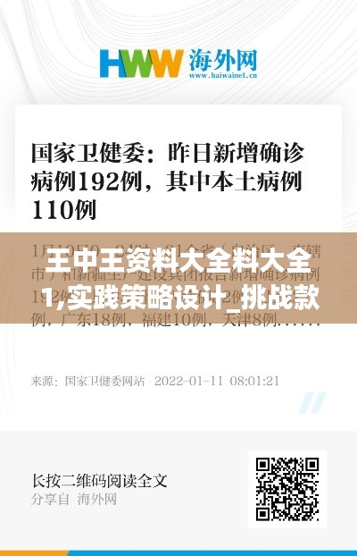 王中王资料大全料大全1,实践策略设计_挑战款110.192