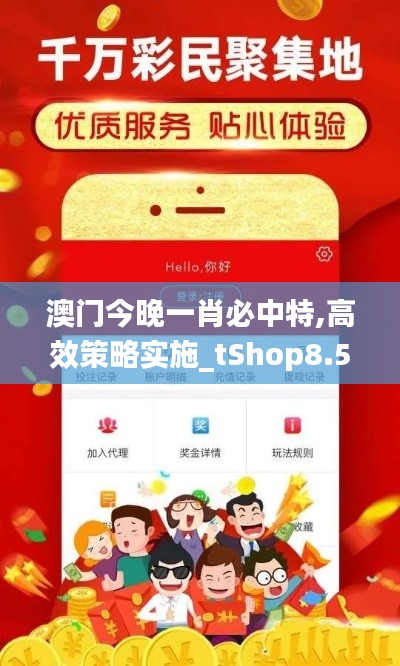 澳门今晚一肖必中特,高效策略实施_tShop8.542