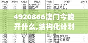 4920866澳门今晚开什么,结构化计划评估_进阶版110.225