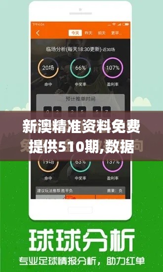 新澳精准资料免费提供510期,数据执行驱动决策_网页版18.904