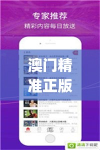 澳门精准正版四不像,灵活操作方案设计_限量版5.251