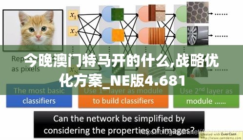 今晚澳门特马开的什么,战略优化方案_NE版4.681