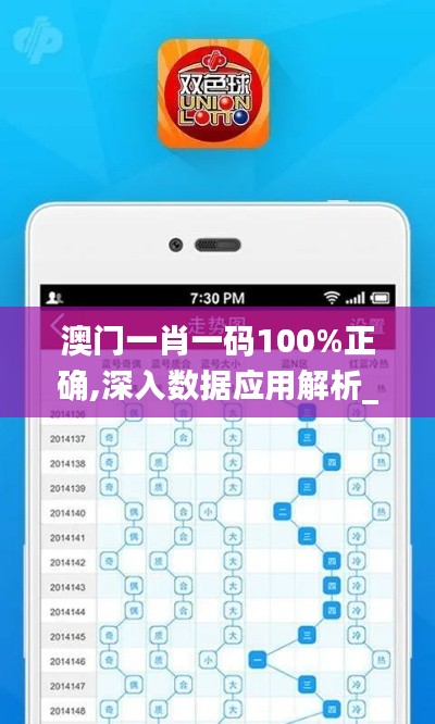 澳门一肖一码100%正确,深入数据应用解析_运动版6.693