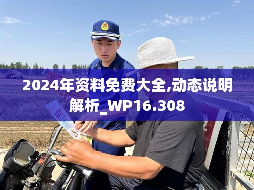 2024年资料免费大全,动态说明解析_WP16.308