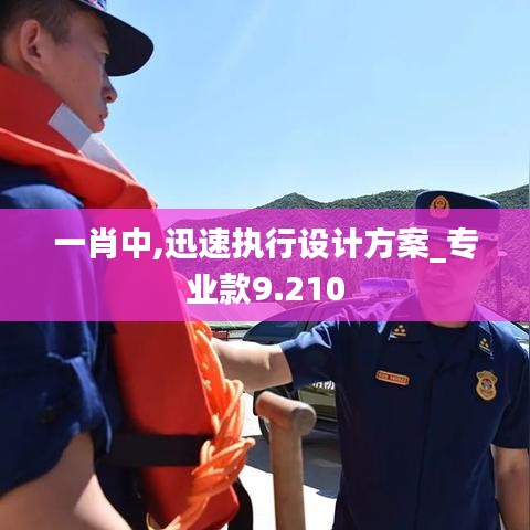 一肖中,迅速执行设计方案_专业款9.210