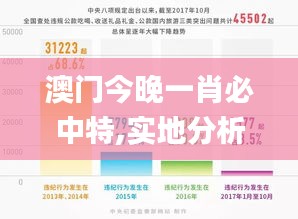 澳门今晚一肖必中特,实地分析数据设计_Hybrid10.797