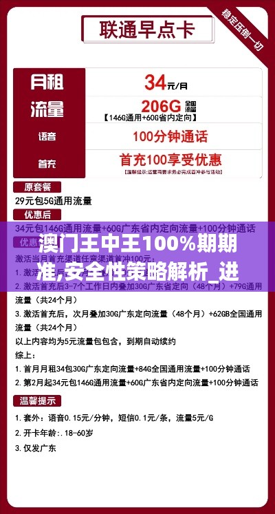 澳门王中王100%期期准,安全性策略解析_进阶款8.206