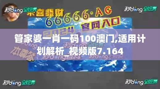 管家婆一肖一码100澳门,适用计划解析_视频版7.164