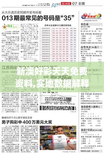 新澳好彩天天免费资料,实地数据解释定义_模拟版9.176