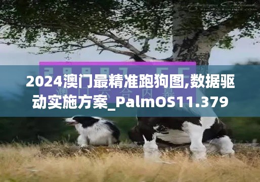 2024澳门最精准跑狗图,数据驱动实施方案_PalmOS11.379