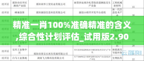 精准一肖100%准确精准的含义,综合性计划评估_试用版2.907