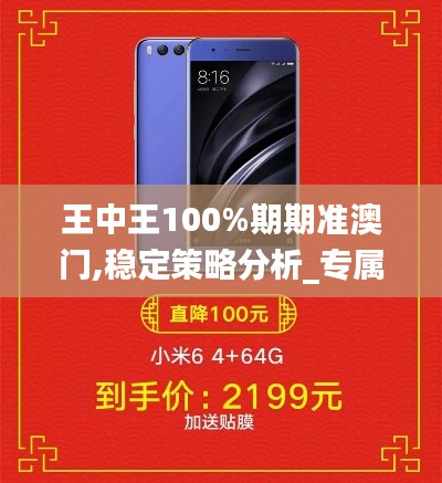 王中王100%期期准澳门,稳定策略分析_专属款16.835