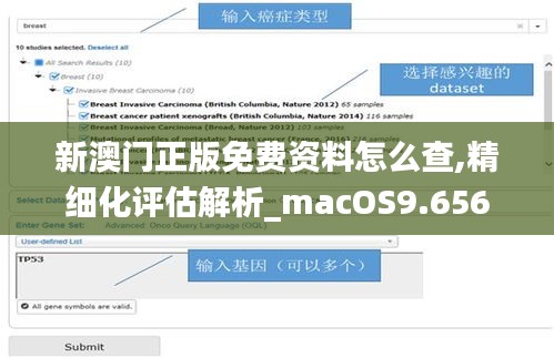 新澳门正版免费资料怎么查,精细化评估解析_macOS9.656