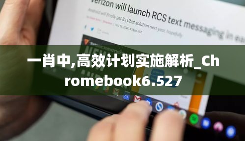 一肖中,高效计划实施解析_Chromebook6.527