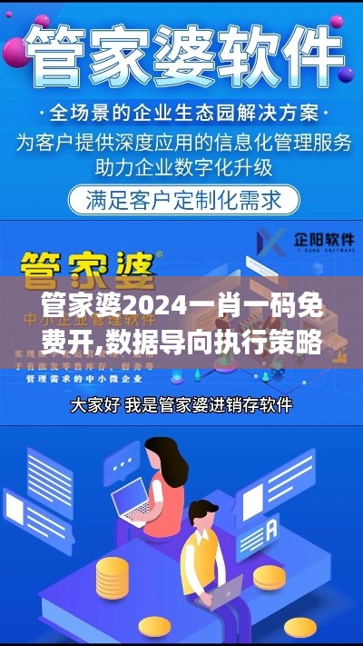 管家婆2024一肖一码免费开,数据导向执行策略_储蓄版3.215