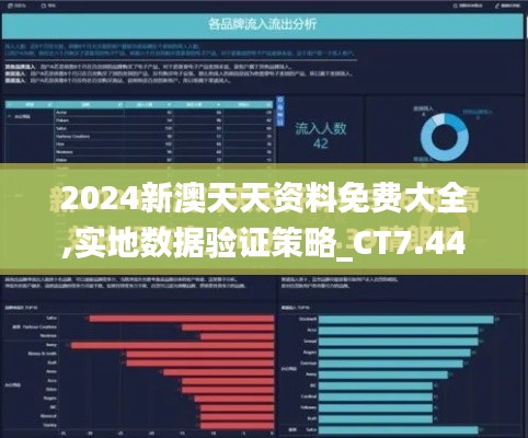 2024新澳天天资料免费大全,实地数据验证策略_CT7.445