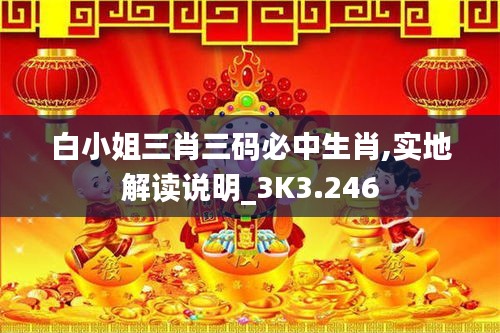 白小姐三肖三码必中生肖,实地解读说明_3K3.246