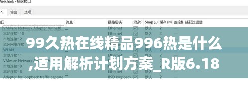 99久热在线精品996热是什么,适用解析计划方案_R版6.184