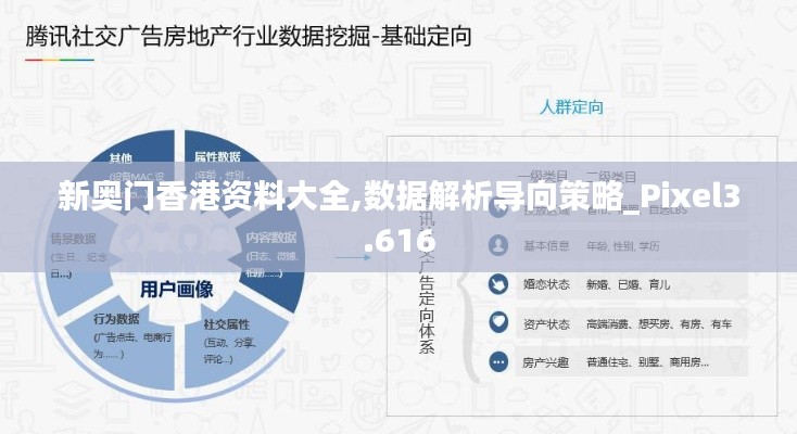 新奥门香港资料大全,数据解析导向策略_Pixel3.616