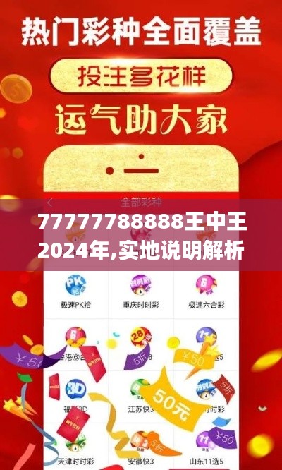 77777788888王中王2024年,实地说明解析_VE版9.646