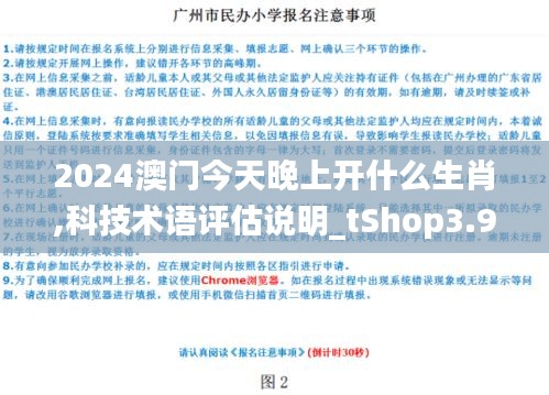 2024澳门今天晚上开什么生肖,科技术语评估说明_tShop3.914