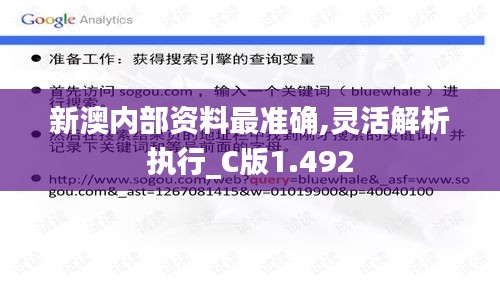 新澳内部资料最准确,灵活解析执行_C版1.492