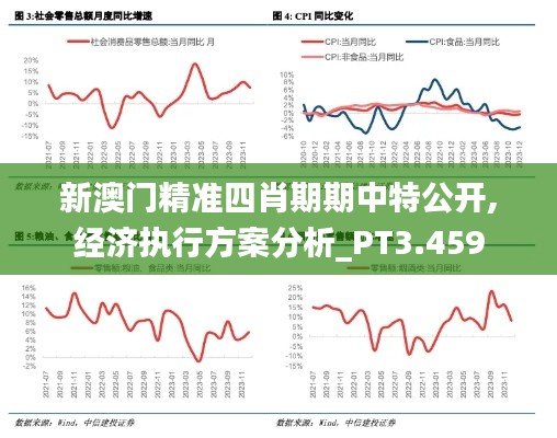 新澳门精准四肖期期中特公开,经济执行方案分析_PT3.459