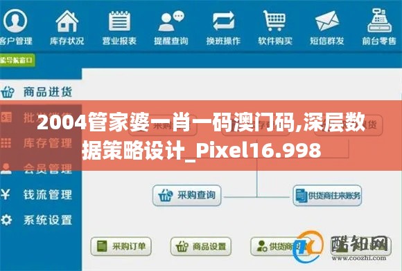 2004管家婆一肖一码澳门码,深层数据策略设计_Pixel16.998