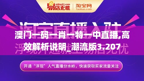 澳门一码一肖一特一中直播,高效解析说明_潮流版3.207