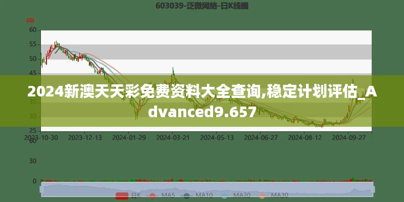 2024新澳天天彩免费资料大全查询,稳定计划评估_Advanced9.657