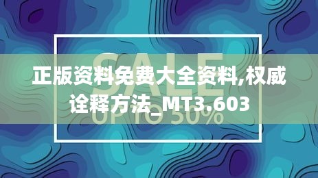 正版资料免费大全资料,权威诠释方法_MT3.603