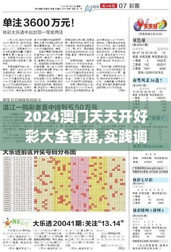 2024澳门天天开好彩大全香港,实践调查解析说明_经典版6.767