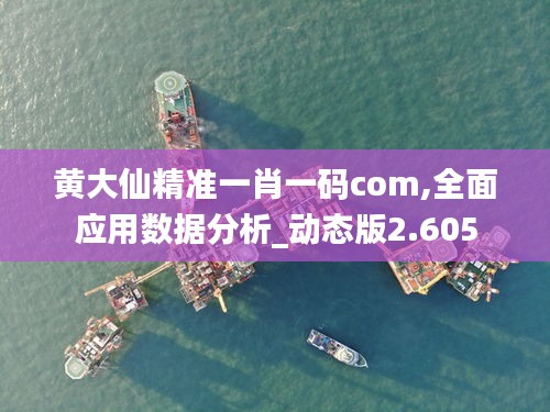 黄大仙精准一肖一码com,全面应用数据分析_动态版2.605