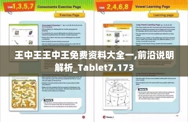 王中王王中王免费资料大全一,前沿说明解析_Tablet7.173