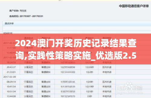 2024澳门开奖历史记录结果查询,实践性策略实施_优选版2.566