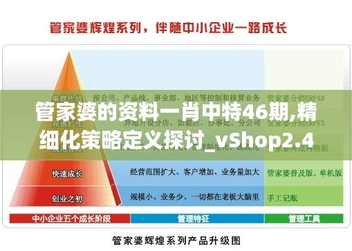 管家婆的资料一肖中特46期,精细化策略定义探讨_vShop2.409